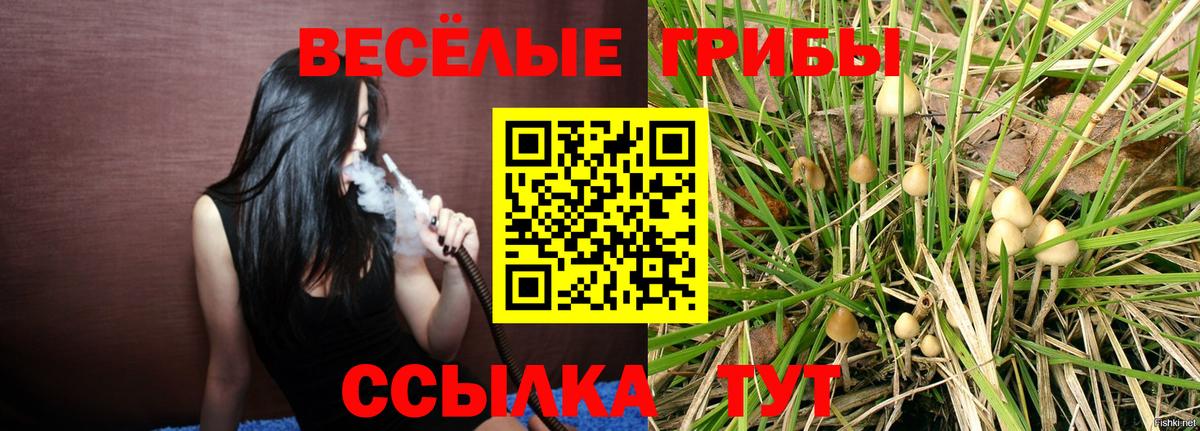 Галлюциногенные грибы GOLDEN TEACHER  Вход с VPN  Галлюциногенные грибы Psilocybine cubensis  Саранск 